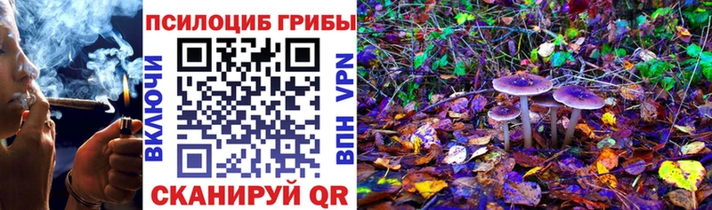Купить  Поронайск  Псилоцибиновые грибы Cubensis 
